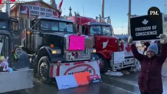 Canadian Government Bans Honking in Ottawa So This Happens