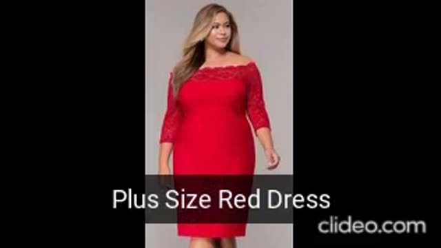 plus size women's clothing/ plus size red dress /Lace dress