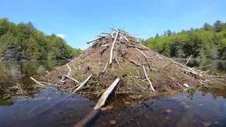 Beaver Dam