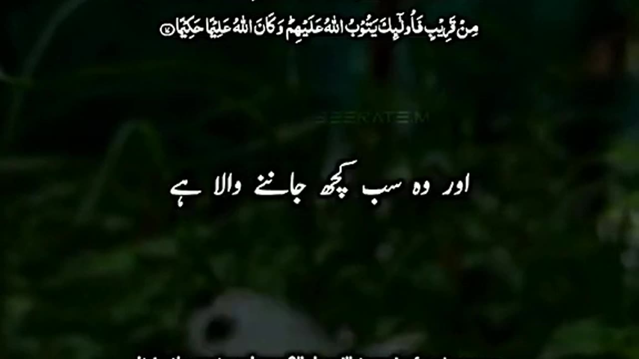 سورۃ النساء آیت نمبر 17 18