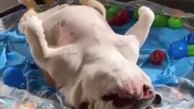 hora de la siestaš„°