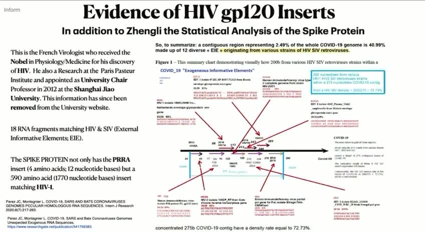 Luc Montagnier’s discovery that spike proteins may contain genetic sequences from HIV