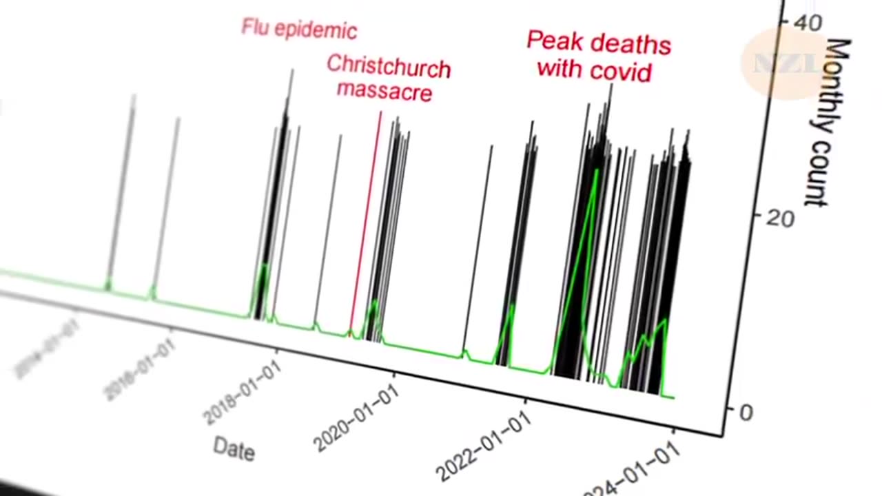 NEW ZEALAND EXCESS MORTALITY RATE