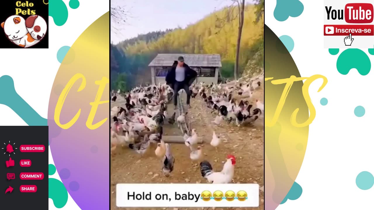 Animais Engraçados Funny Animals Channel 🐶🐱