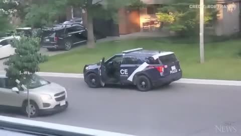 WATCH: Wild turkey faces off against Canadian police officer