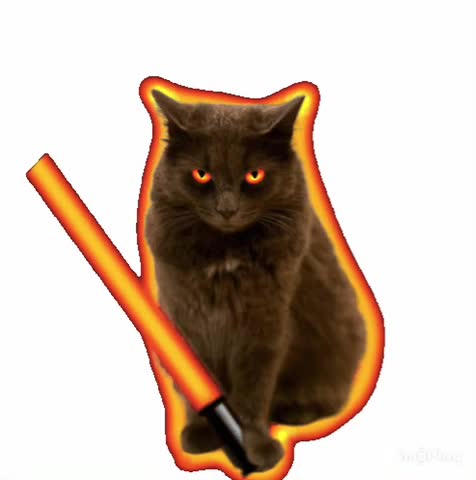 Cat Jedi GIF! ☯️