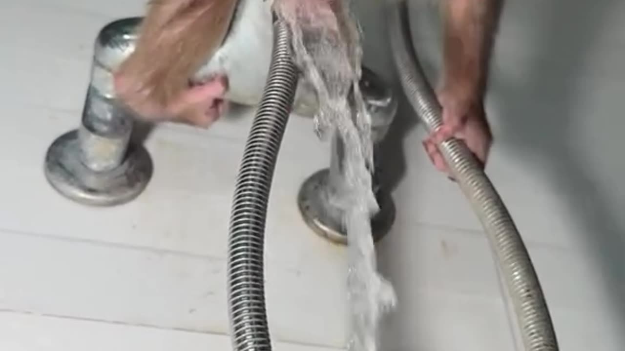 Thirsty Monkey Turns on the Tap for a Drink!