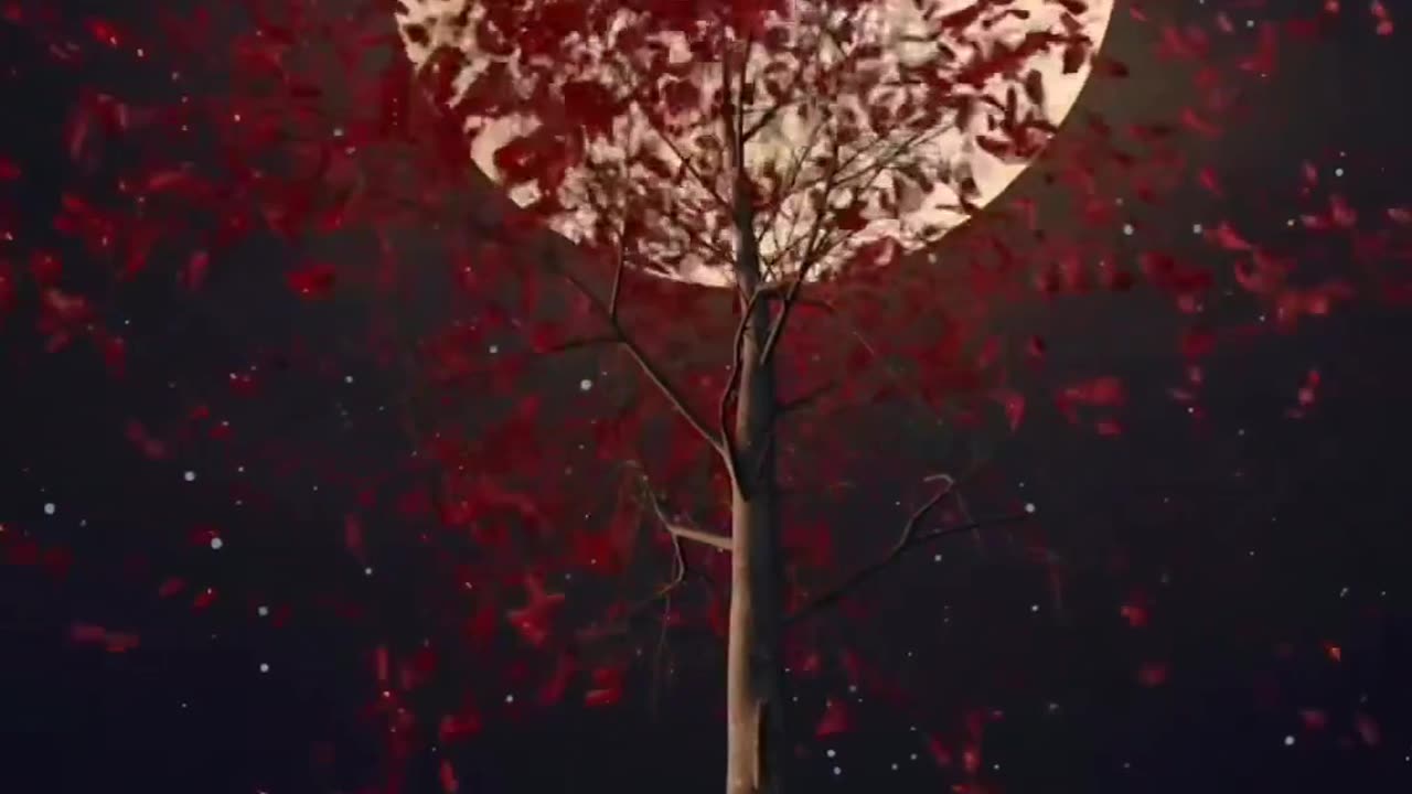 Are you explore the paradise ๐