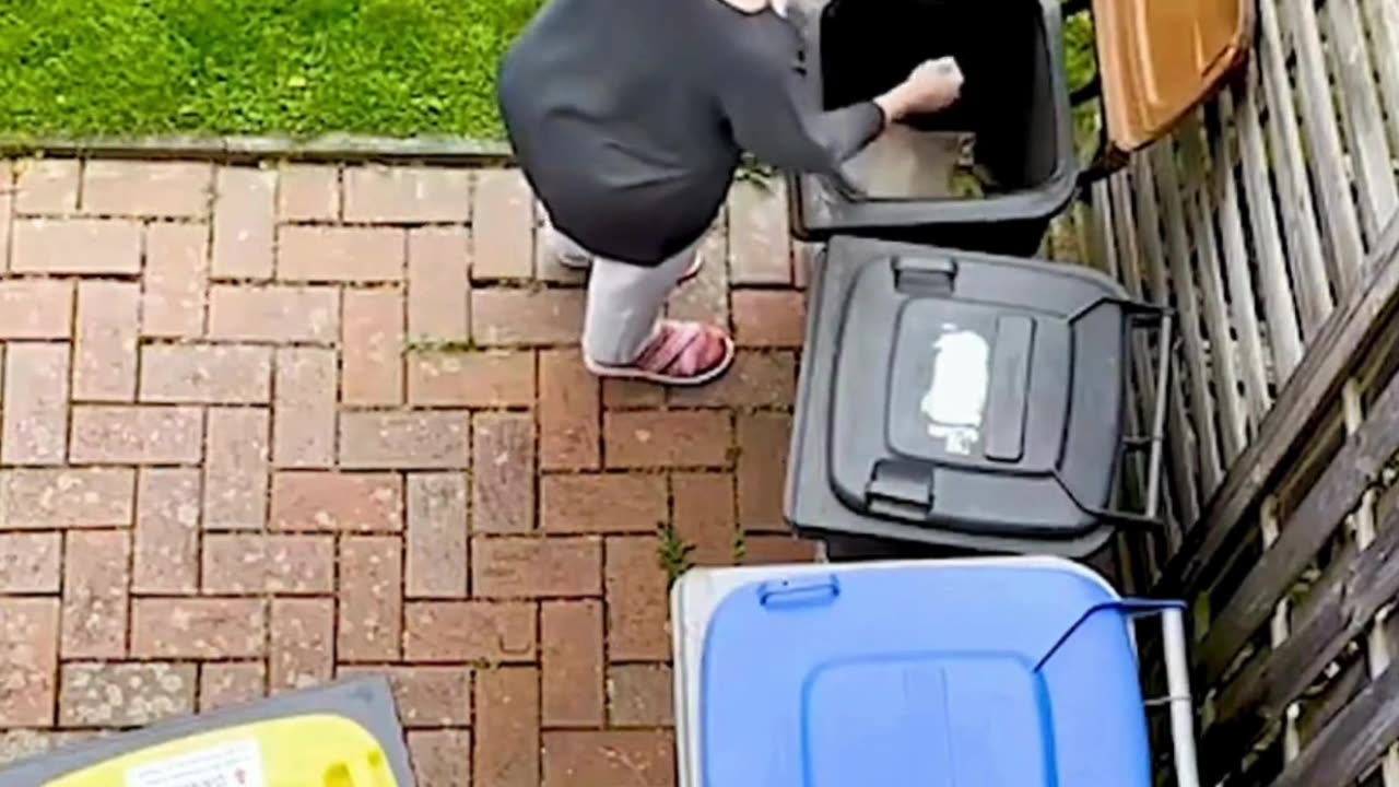 The end 😂😂😂 #funny #fails #viral #shorts #justlaughfolder