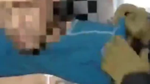 FSB officers prevented a terrorist attack in a shopping center in Simferopol,