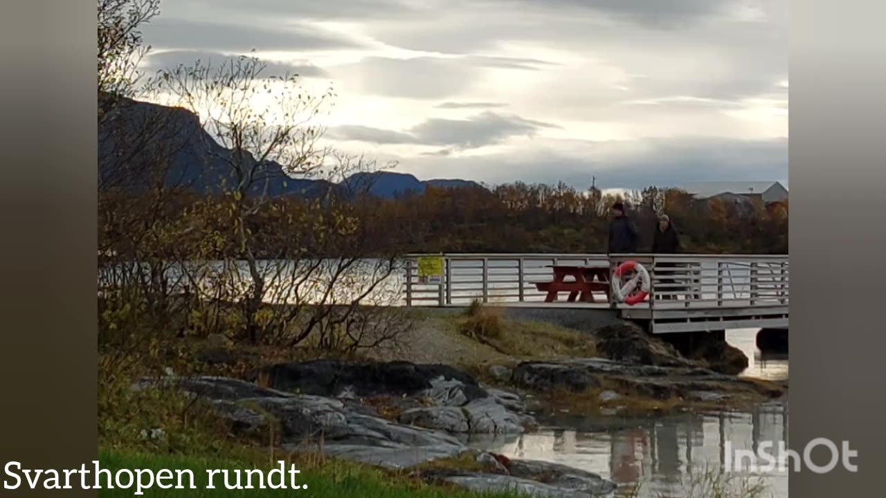 Svarthopen rundt.