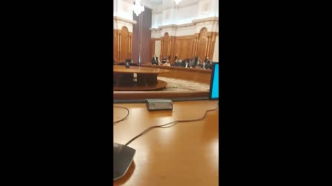 Discuție în comisiile comune Diana Șoșoacă - Cătălin Predoiu ministrul propus al Justiției