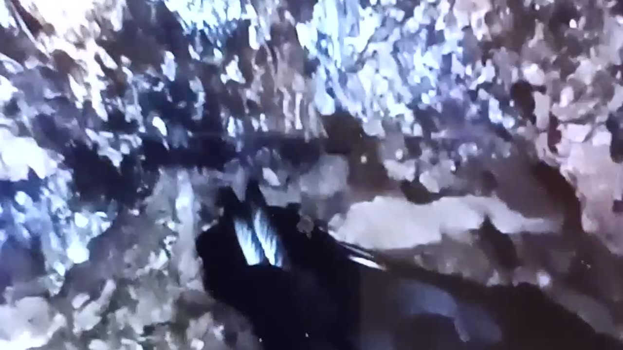 How cool a vulture sitting on its nest