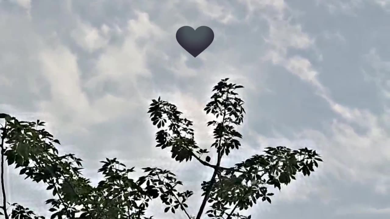 Nature beauty