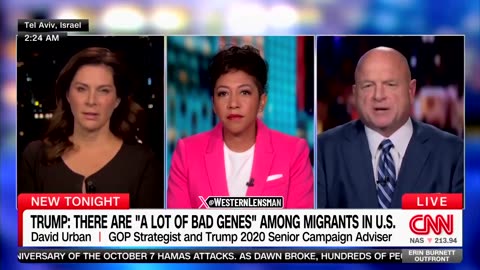Dem Strategist Aisha Mills 2