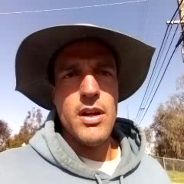 PIGEON = GOD FOOD = FREEDOM. Apr 15, 8:57am.