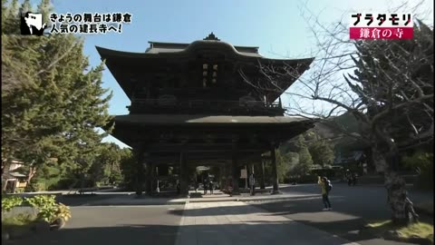 ブラタモリ 「鎌倉の寺～北条氏の寺でわかる！鎌倉幕府の偉業とは～」