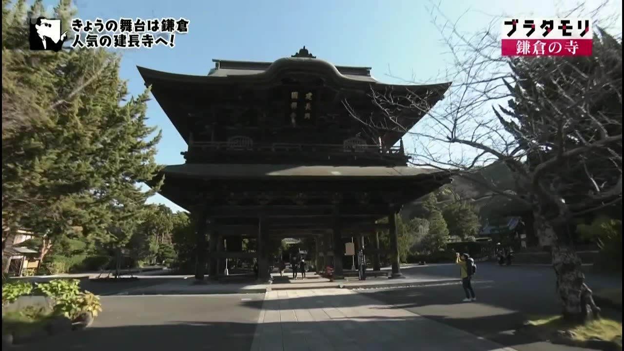 ブラタモリ 「鎌倉の寺~北条氏の寺でわかる!鎌倉幕府の偉業とは~」