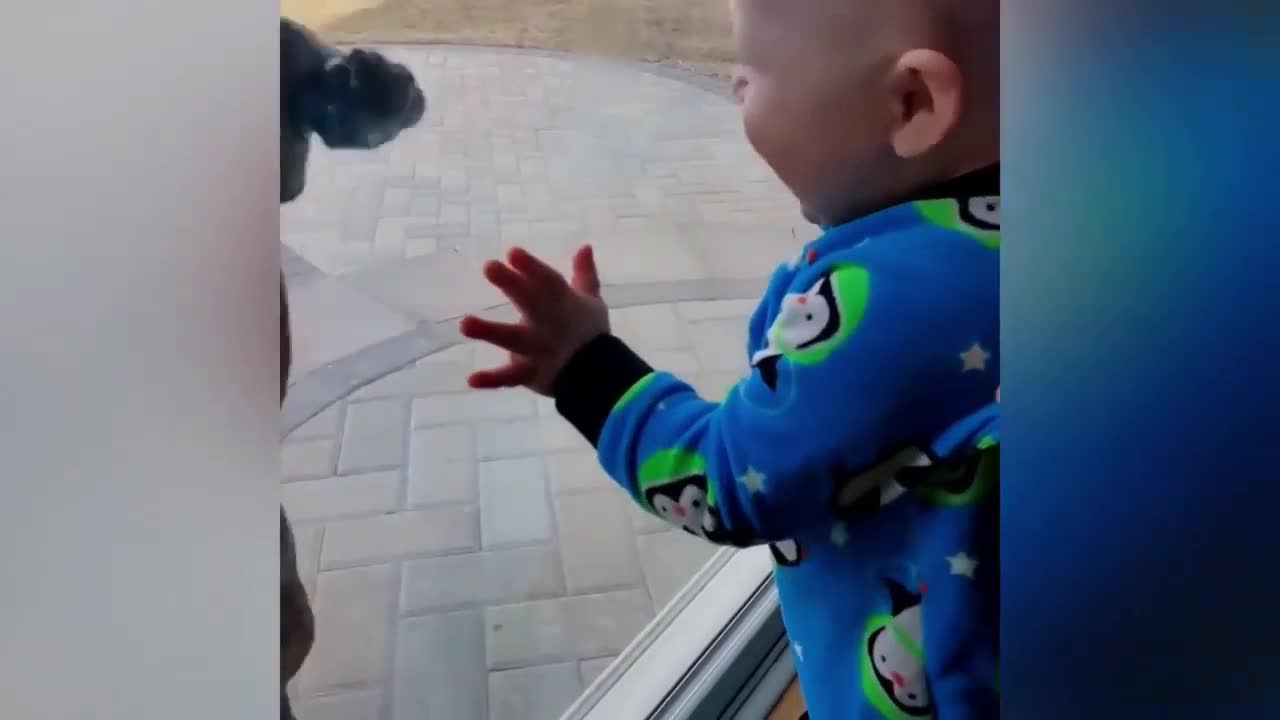 Baby Happy to Meet with Dog