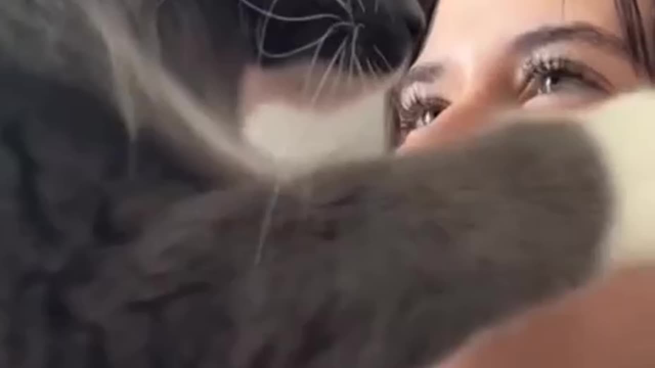 TRY NOT TO LAUGH 😆 Best Funny Videos Compilation 😂😁😆