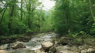 Relaxing Music | Sleeping, Meditation, Stress Relief | [6068] ⭐️