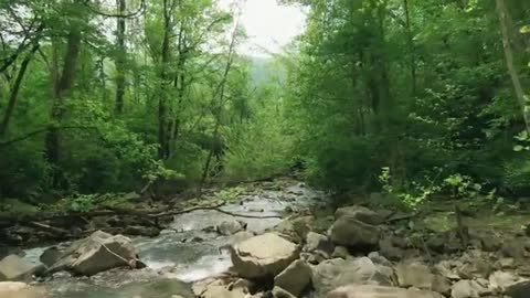 Relaxing Music | Sleeping, Meditation, Stress Relief | [6068] ⭐️