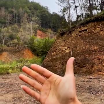 They are Cute parrot 🦜 🦜