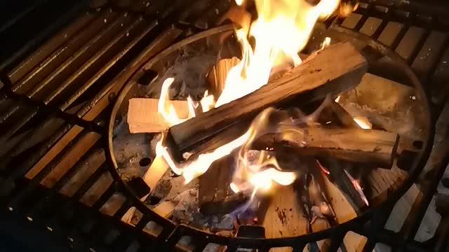 Bira e barbecue