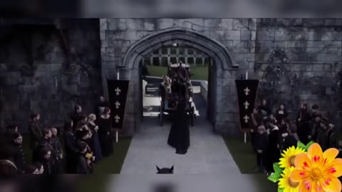 Reign