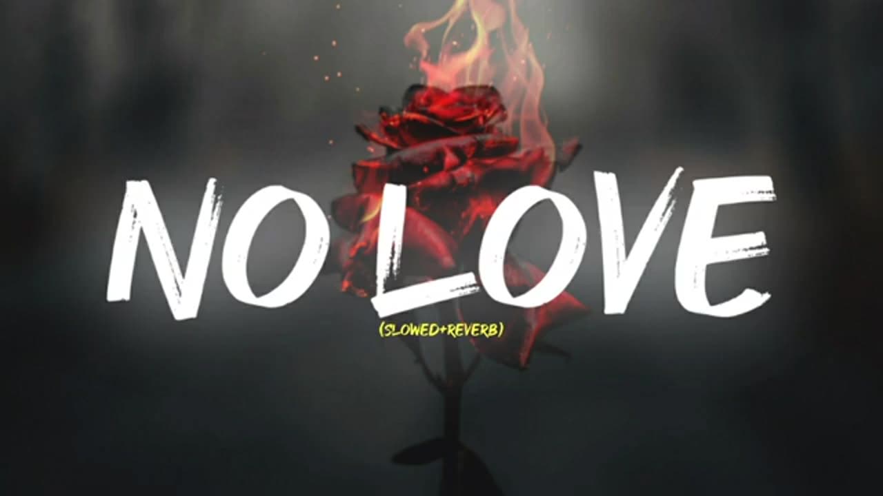No love | slowed reverb | shubh