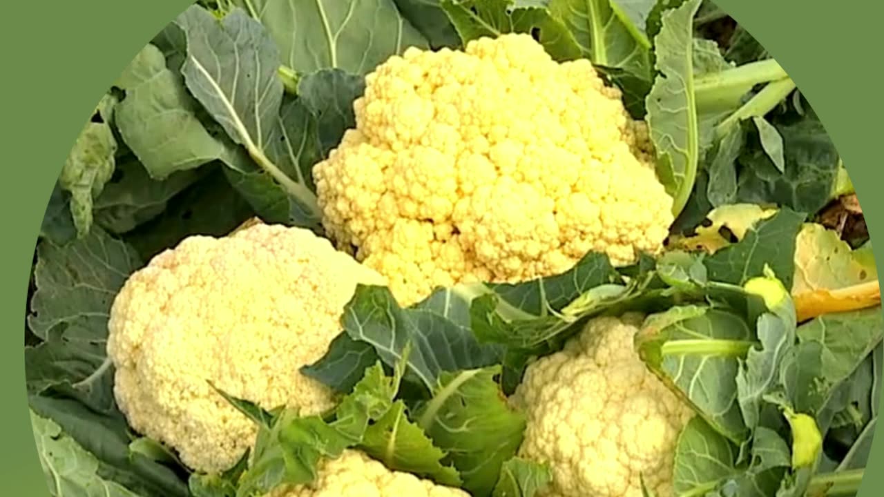 Cauliflower