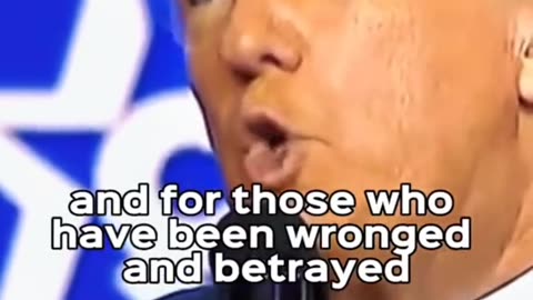 Donald trump's my favorite