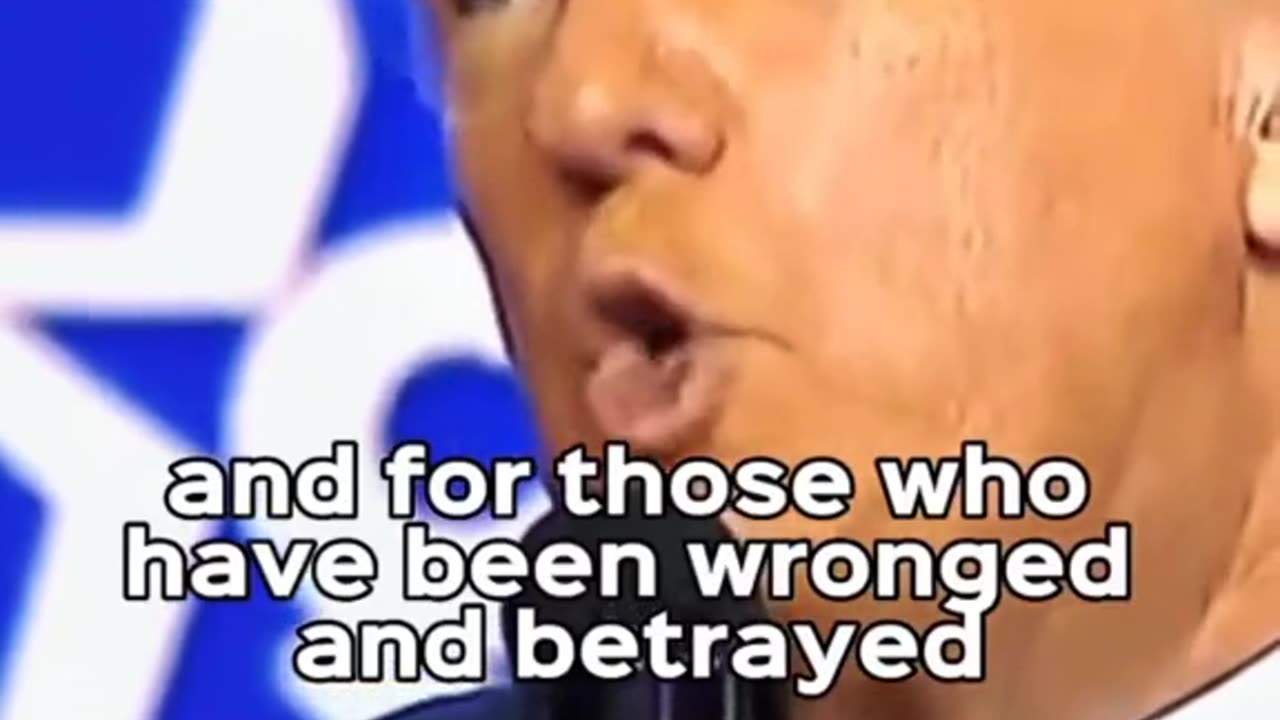 Donald trump's my favorite