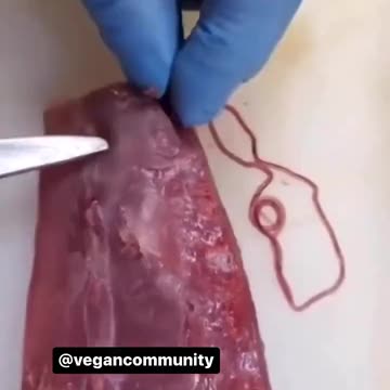 Publicznie i całkowicie legalnie wstrzykują nam trucizny i karmią nas pasożytami. Uważaj, co jesz.