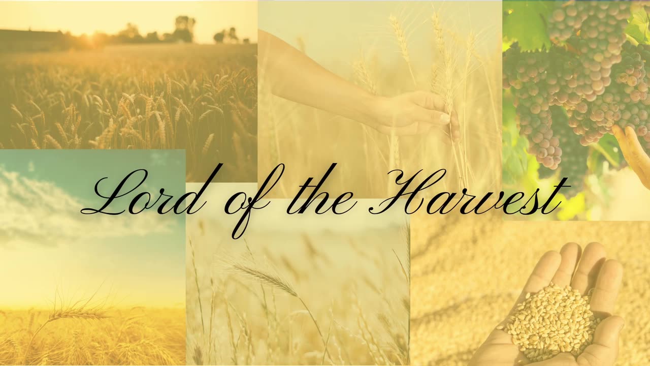 Lord of the Harvest