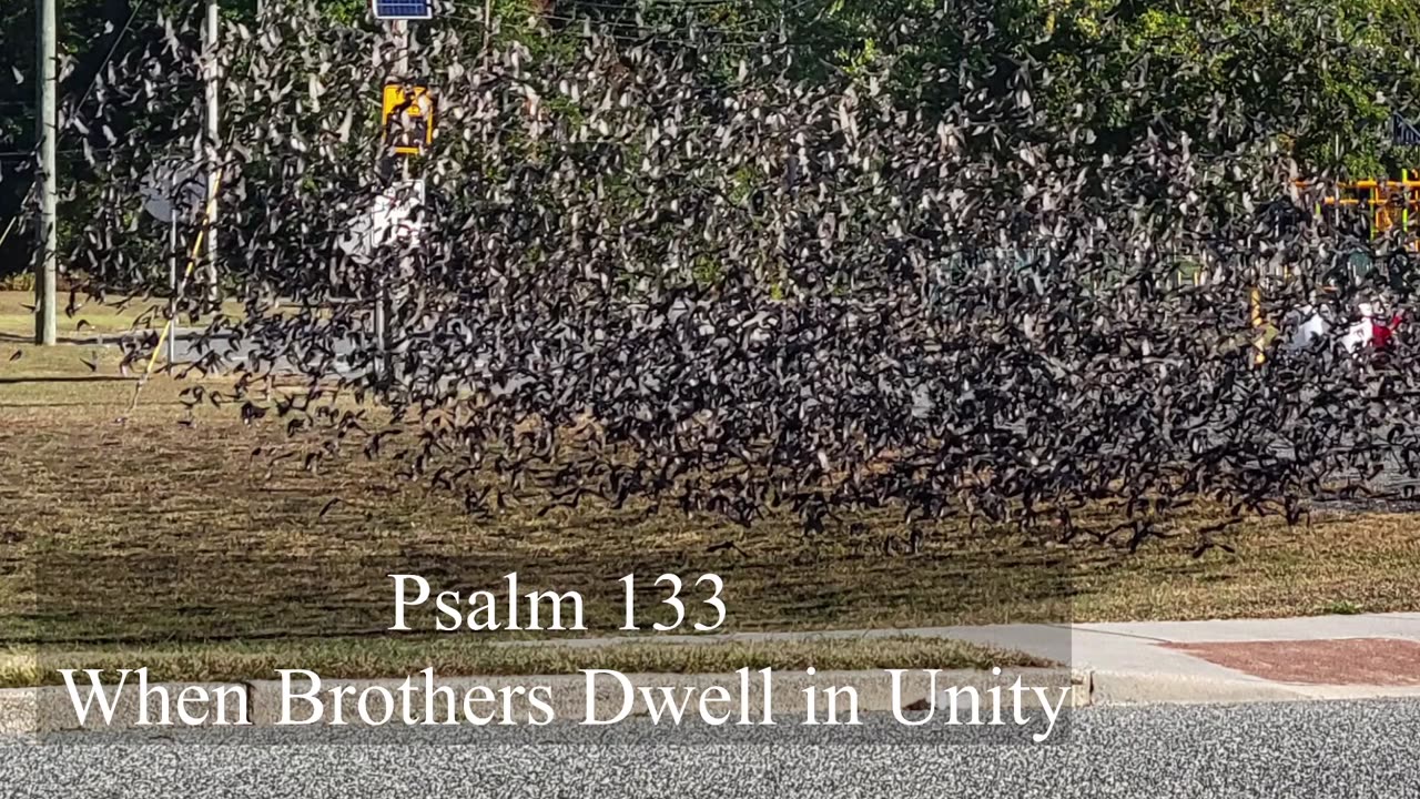 Psalm 133 - ESV Audio