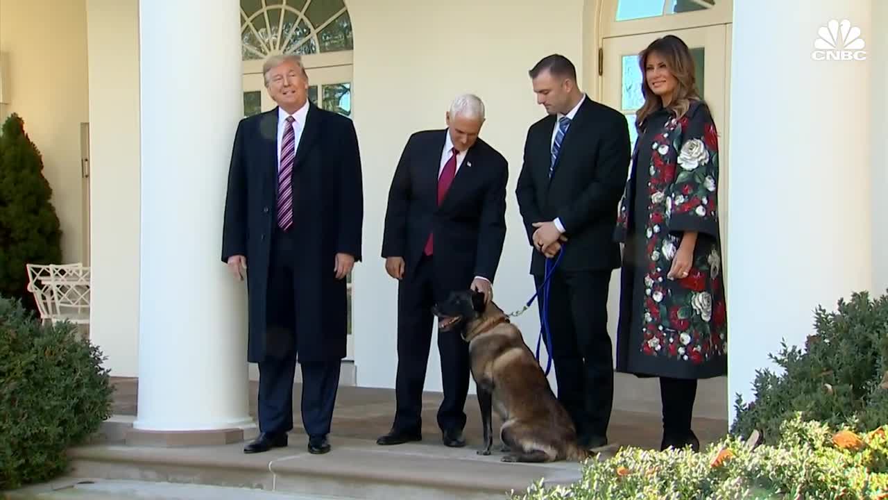 Trump praises Conan, the dog injured in raid that killed ISIS leader al-Baghdadi