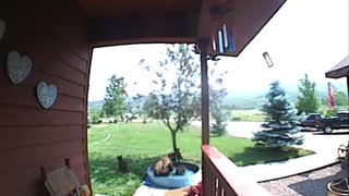 Mama Bear Checks Solar Light Then Hops in Kiddie Pool