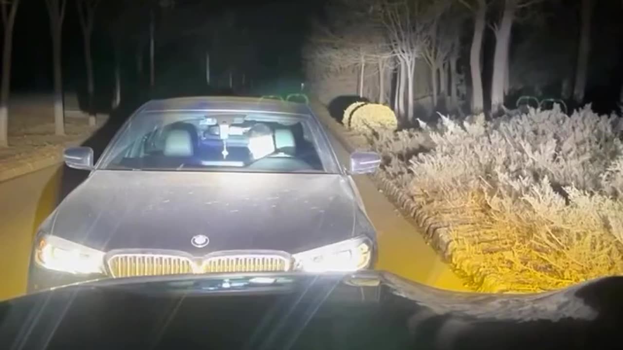 What kind of fight is this?