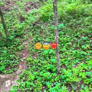 chosen ones have unlimited energy!