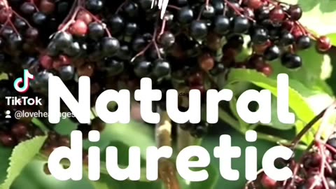 Have you had the amazing Elderberry Elixir by Lovehealingest22? Don't miss out