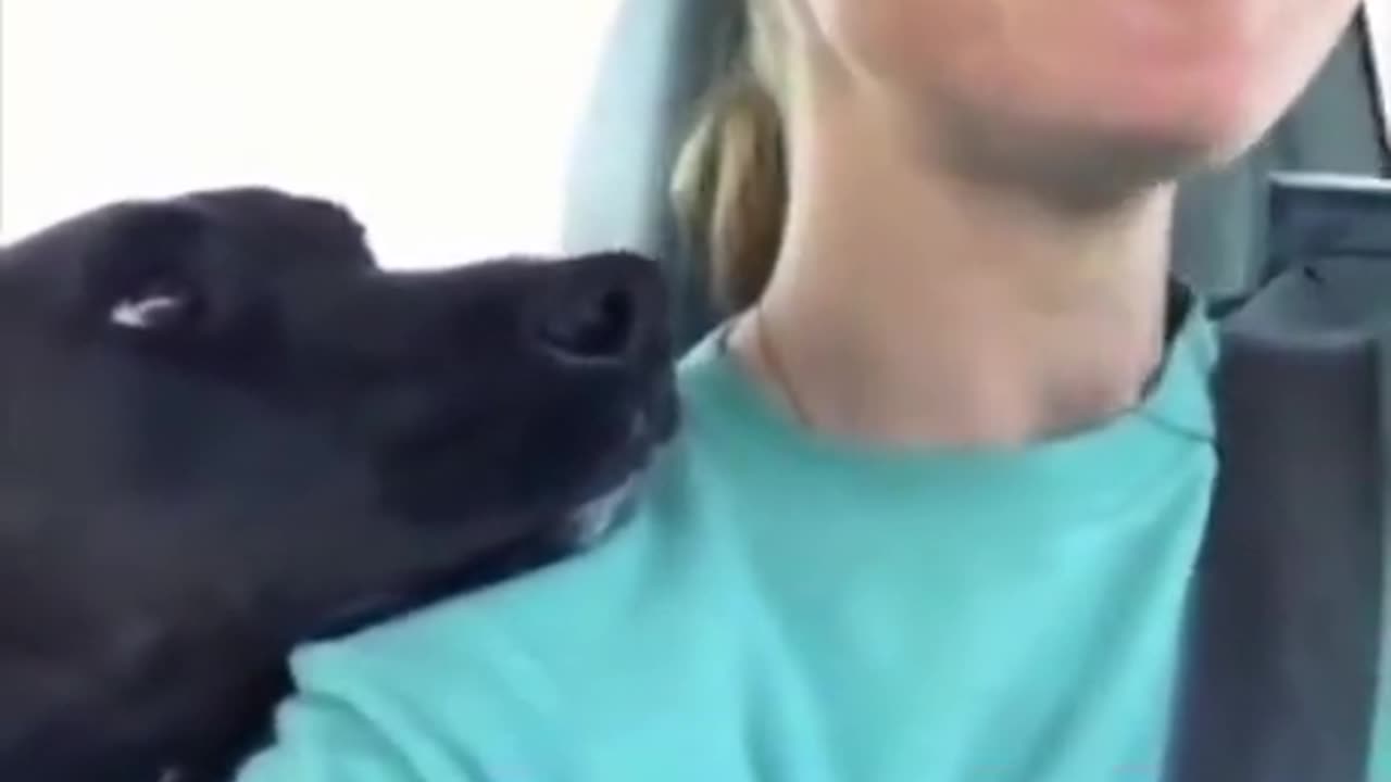 The dog knows that the woman saved her