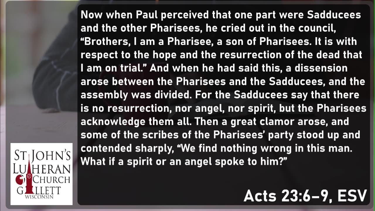 Sadducee or Pharisee?