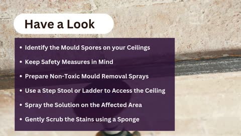 How To Remove Mould From Ceiling