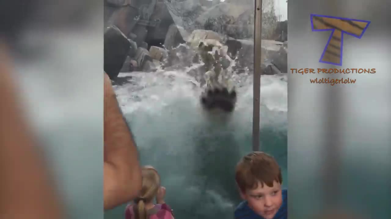 FORGET CATS! Funny KIDS vs ZOO ANIMALS are WAY FUNNI.mp4