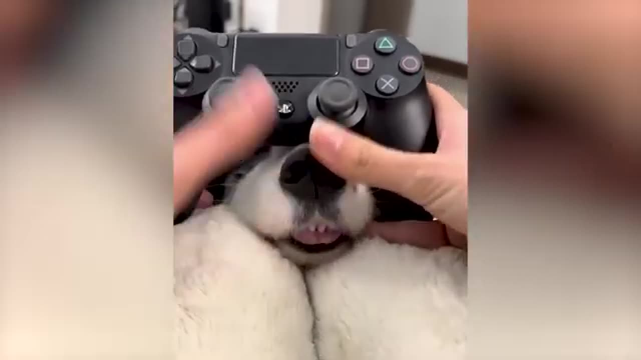 Funny