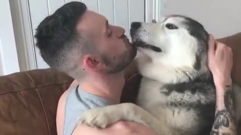 Dog comforted by owner