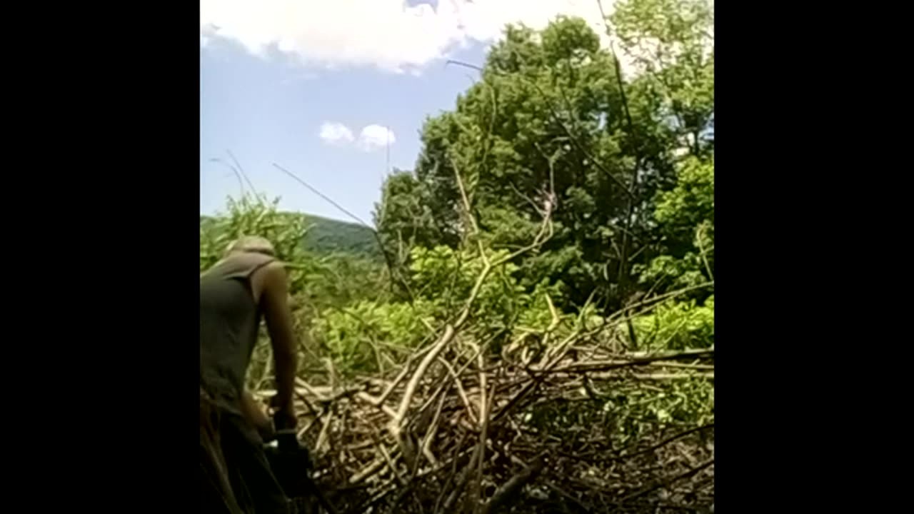 Piling up Brush; Sawing Brush