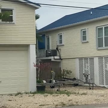 Blue Roof Survival Mode 🟦