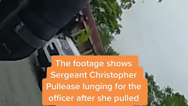 A Florida police sergeant has been charged with felony battery...